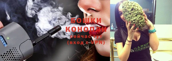 spice Абаза