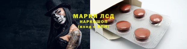 spice Абаза