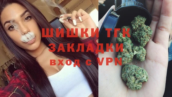 PSILOCYBIN Алзамай