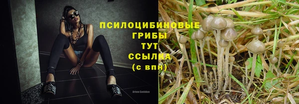 PSILOCYBIN Алзамай