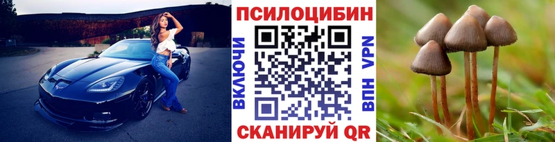Галлюциногенные грибы Psilocybine cubensis  МЕГА   Кораблино 